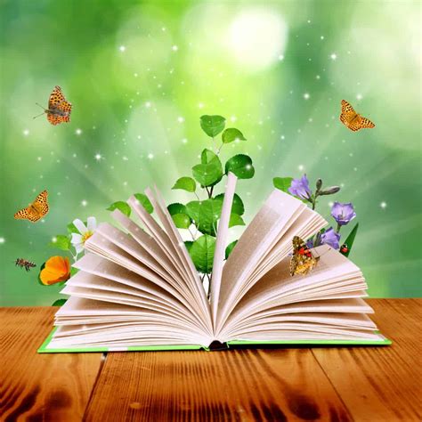 50 Motivational and Inspirational Book Quotes to Empower You.